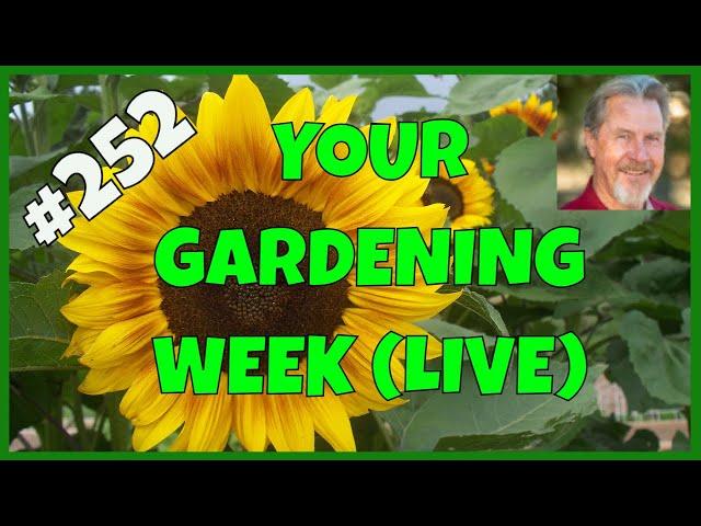 Intensive Gardening (Q&A)
