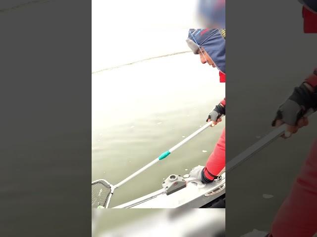 Ждал эту поклевку! Рыбалка на спиннинг. Судак на джиг