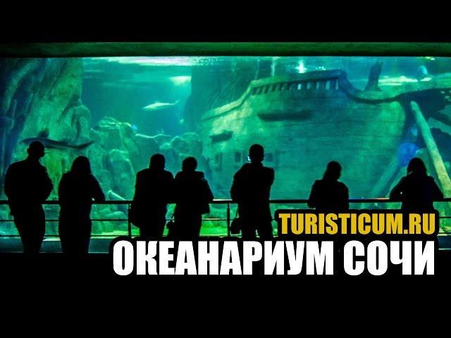 Океанариум Сочи — Sochi Discovery World Aquarium. Адлер.