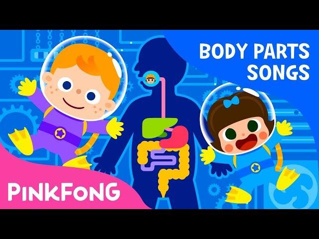 Digestion - Where Does My Food Go? | Body Parts Songs | Pinkfong Songs for Children