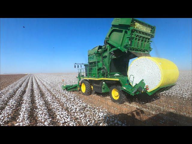 Let’s go harvest some cotton