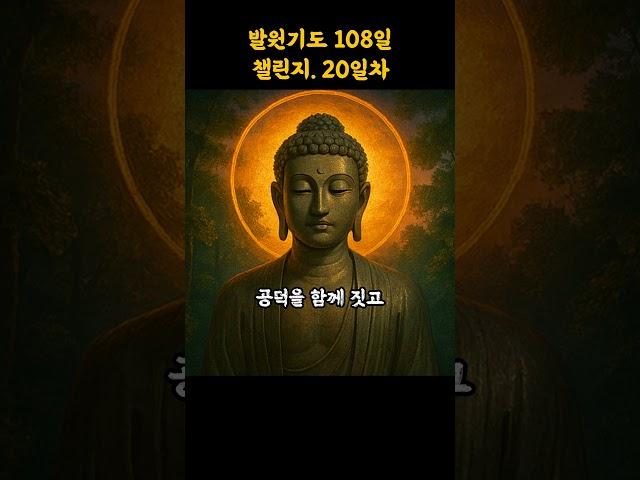 이제 20일.한 걸음 한 걸음이 모여 큰 인연을 만듭니다.구독과 좋아요를 눌러 공덕을 함께 짓고 댓글에 소원을 올려보세요.부처님께서 이끄실 것입니다.#명언 #무설스님 #지혜