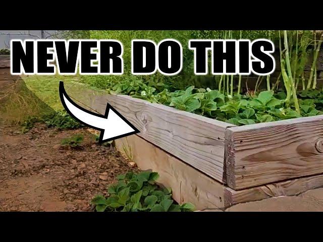 7 Beginner Raised Bed Garden Mistakes to Avoid