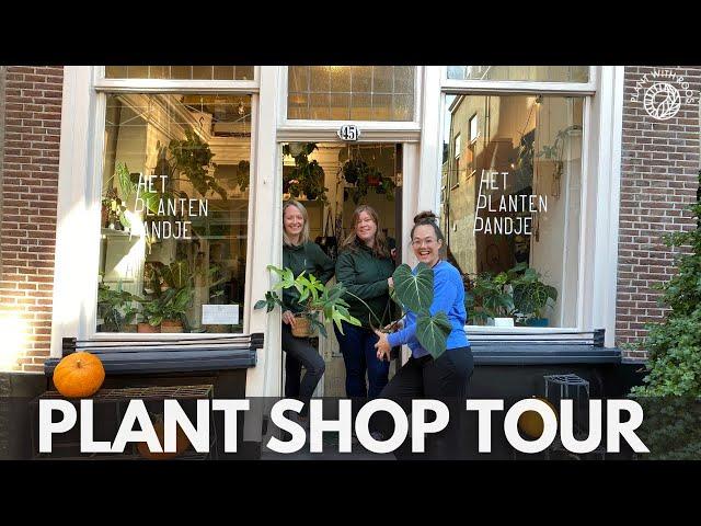 Rare aroids in a SHOP?? Plant Shop Tour | Plant with Roos