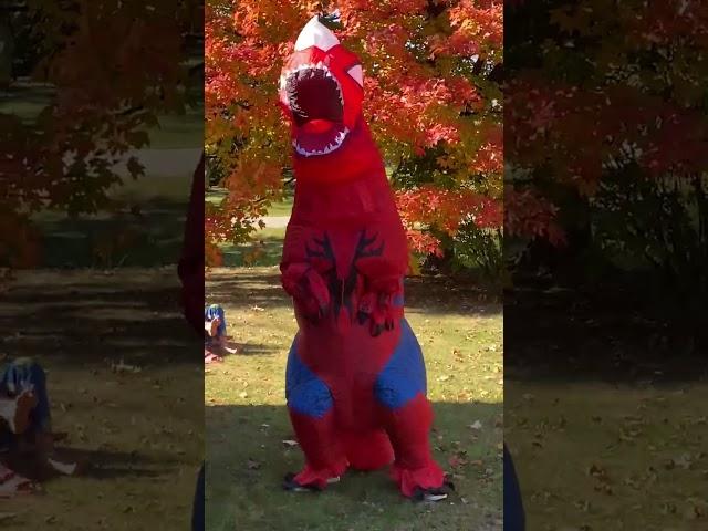 I don’t know why Jay did this #youtubeshorts #funnyvideo #sillythings #whynot
