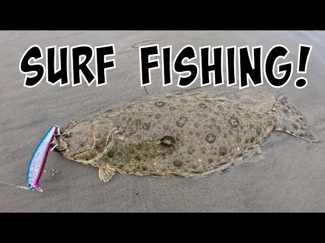 the 4 stages of fishing [SoCal Surf Fishing HALIBUT]