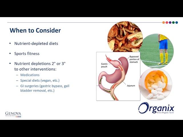 Organix Report Review Presentation for NutriPath Integrative Pathology Services