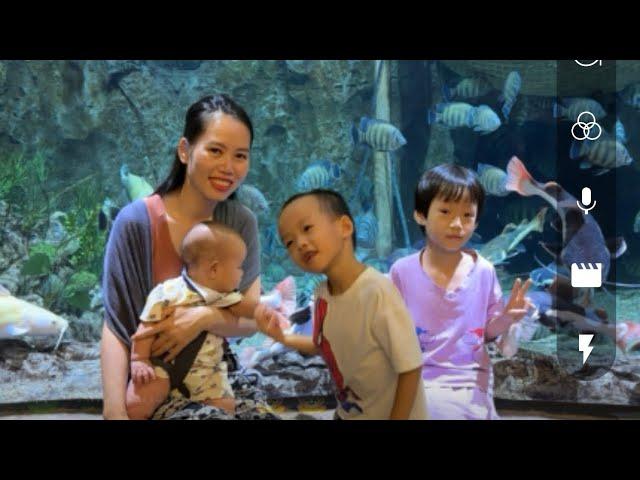 Exciting trip of police officer Du and Ly Tieu Hau with her children. The love story begins