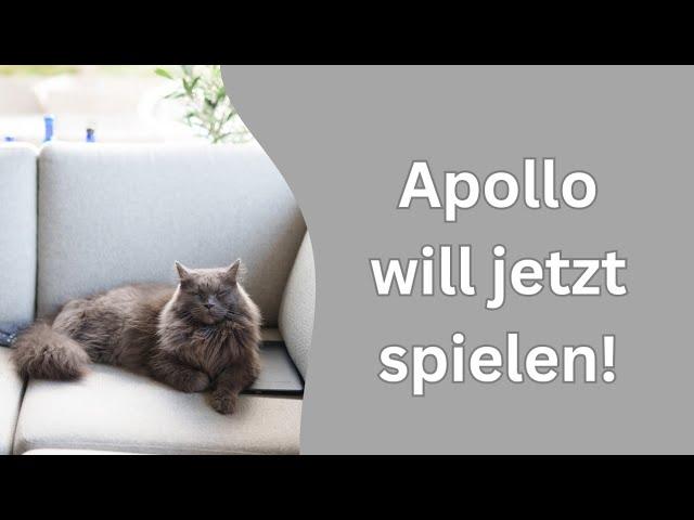 Das große Fluff will mit den Punkten spielen