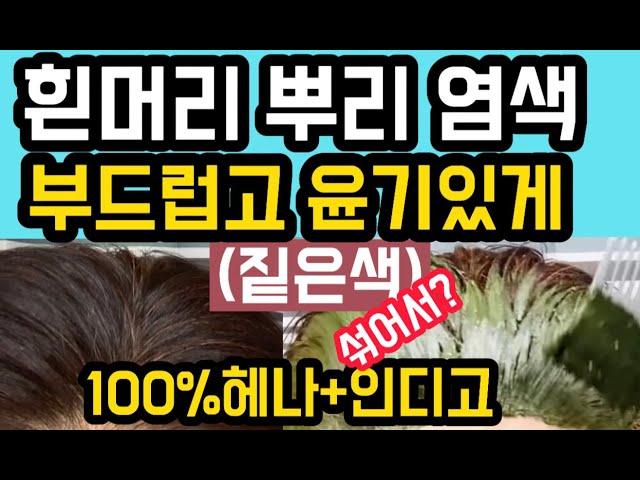 100% 헤나와인디고 섞어서 뿌리염색!!! 이렇게 하니 완벽하게 흰머리 염색이 되네? 유난히 머릿결이 부드럽고 윤기가 나는 이유는 뭘까요? 꼭한번 그대로 해보세요~~