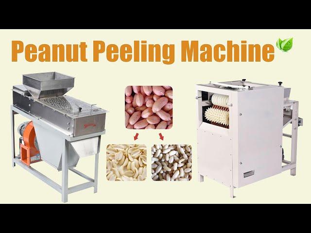 Peanut Peeling Machine Supplier | Peanut Red Skin Peeler Machine with Good Prices