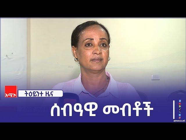 "የዜጎችን ሰብዓዊ መብቶች የሚጋፋ ክስተቶችን በማስወገድ ለመብቶች መከበር ትኩረት ተሰጥቶ ይሠራል" አፈ ጉባኤ ፋንቱ ተስፋዬ