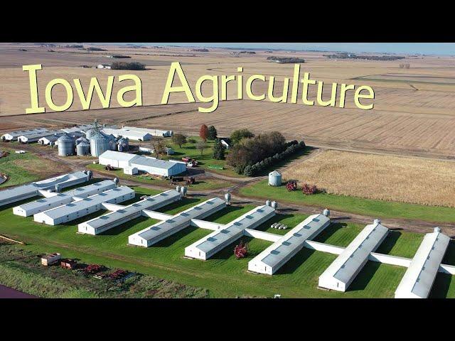 How Iowa Farmers Make $26.4 Billion A Year From 85300 Farms - American Farming Documentary