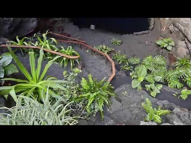 Jameos del Agua