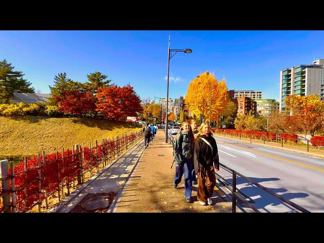 [4K] Walking Tour Around Marunouchi, Otemachi and The Imperial Palace Outside. Tokyo, Japan.