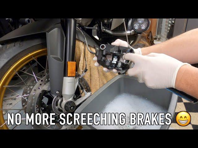 Cleaning the front brakes of my BMW GS  / Brilliant, no more screeching brakesPart 1