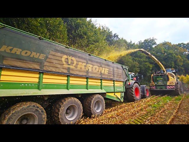 Best BIG X 1180 Krone Maispower 2024 mit Fendt Teamwork Vario 936 + Fendt 820 TMS & Fendt 926 Vario