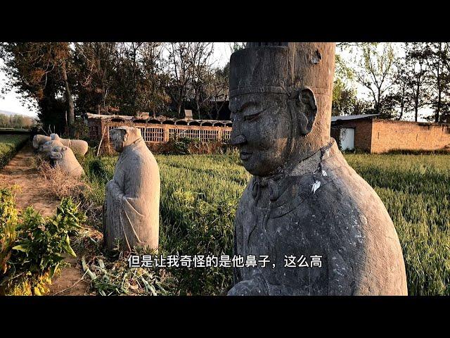 宋哲宗生母朱皇后，陪葬永裕陵西北，分布于麦田，场景凄凉