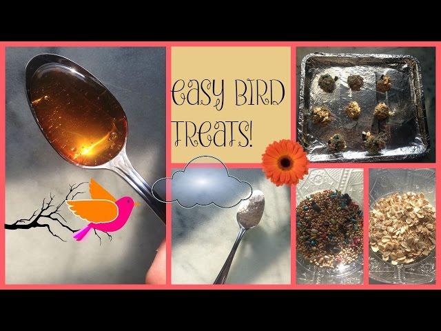 DIY EASY BIRD TREATS!