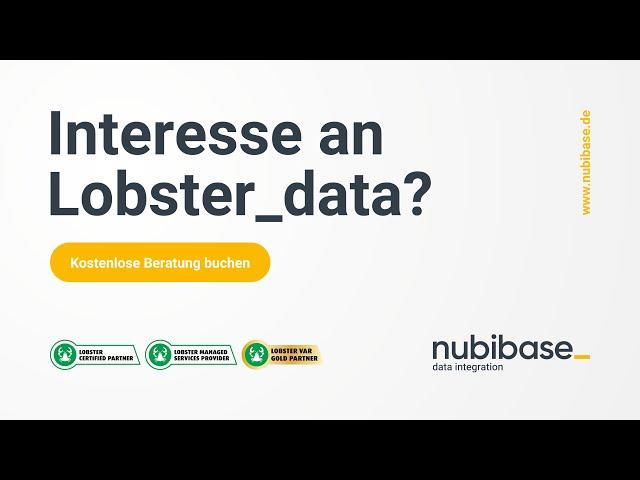 nubibase - Ihr Partner für Lobster DATA und Datenintegration