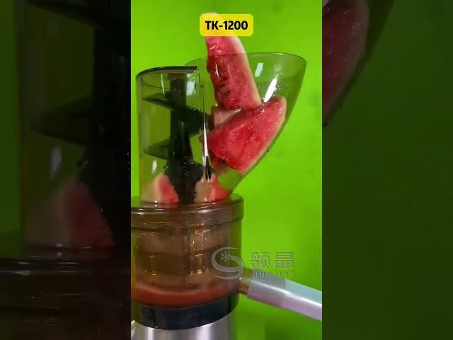 Watermelon Juice Detox | Mega Hopper Cold Press Commercial Juicer