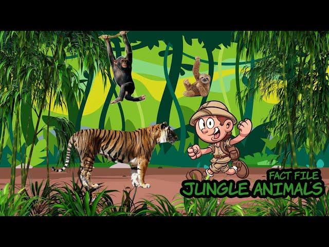 Jungle Animals | Fact File | Learning Jungle Animals for Kids | Walking in the Jungle Song