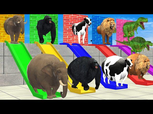 Let's Break the Wall with LONG SLIDE Fat Elephant, Cow, Lion, Gorilla, Dino Wild Animals Cage Game