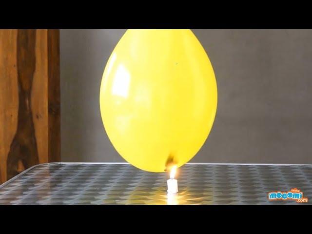 Fire Water Balloon - Cool Science Experiment | Educational Videos by Mocomi Kids