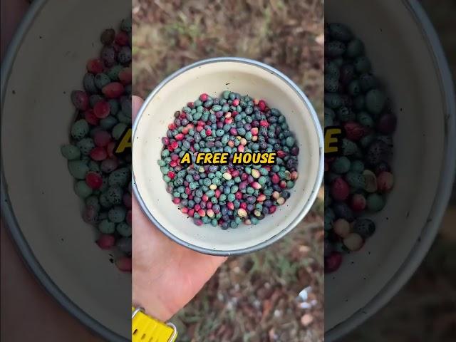 Veterans, what military benefit didcivilians assume you had that isn'tactually real?#reddit #story