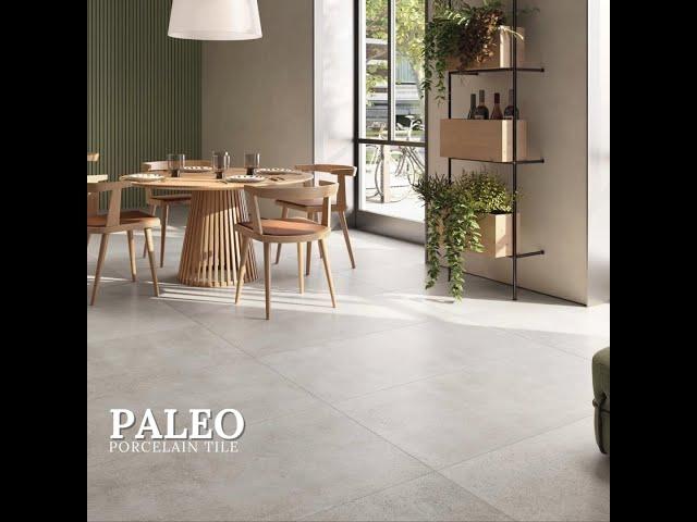 PALEO Porcelain Tile Collection for Walls & Floors