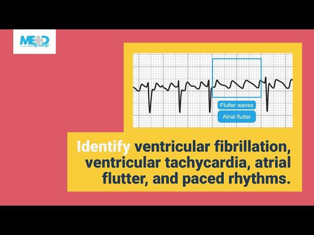 Recognizing rhythms at a glance