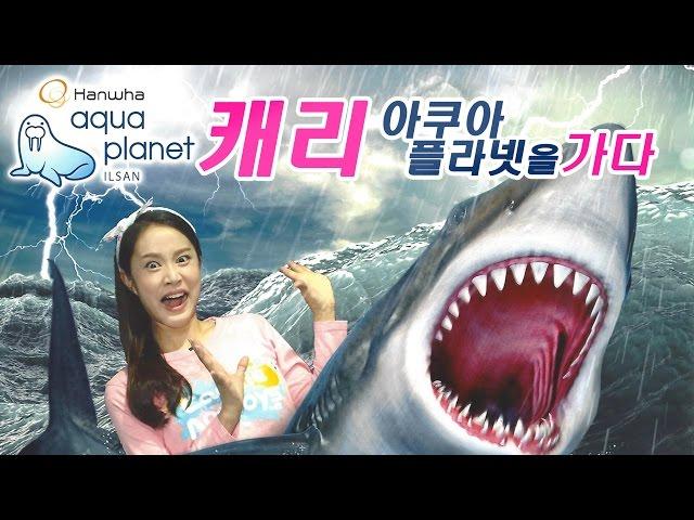 Hanwha aqua planet to visit | CarrieAndToys