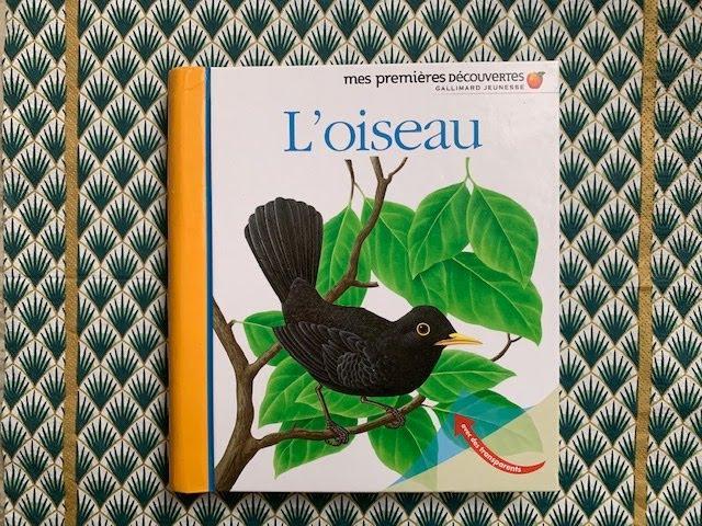 ⭐️L'oiseau - documentaire - mes premières découvertes Gallimard jeunesse