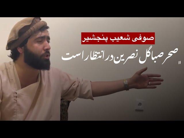 صوفی شعیب دلها - سحر صبا گل نرگس در انتظار است