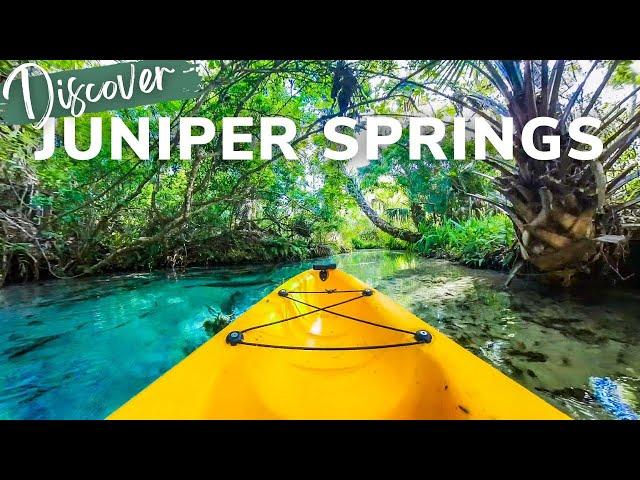 Juniper Springs: One of The BEST Kayaking Runs in Florida!