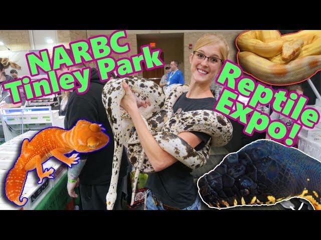 Attending a HUGE Reptile Show! (Tinley NARBC October 2019!!)