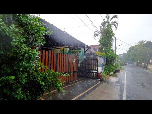 Today sudden Heavy Rain pleasure to my villagers and our as whell | Village Rainy Day Season.