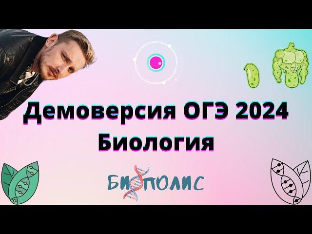 РАЗБОР ДЕМОВЕРСИИ ОГЭ Биология 2024. БиоПолис