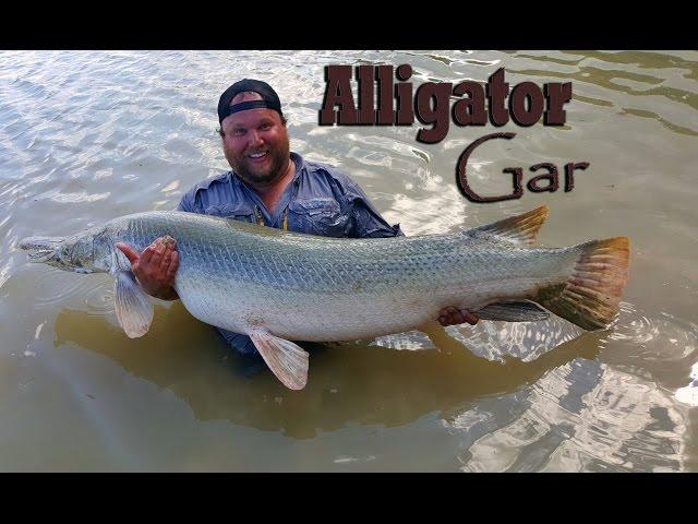 MASSIVE Alligator Gar:  Trinity River, Texas - Northwoods Angling Part 1