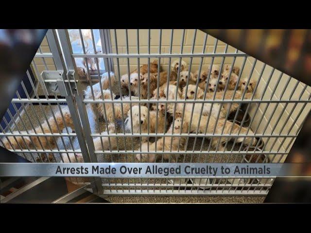 Arrests made after 50+ dogs abandoned in Boone County park; "It makes me want to cry"