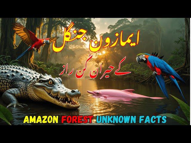 Amazon Forest Dangerous Animals and Strange Facts #amazonforest