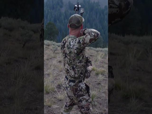 Shooting a Big Bull Elk While Fighting! #elkhunt #destinationelk #bowhunting