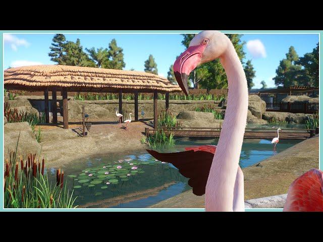 Greater Flamingo Habitat - River Rock Zoo | Planet Zoo Speed Build