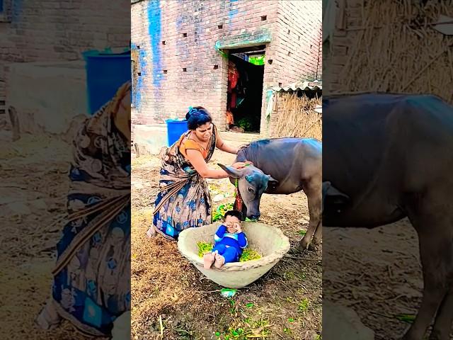 chandaniya chhup Jana re#gurucomedy3 #viralvideo #shorts #trending
