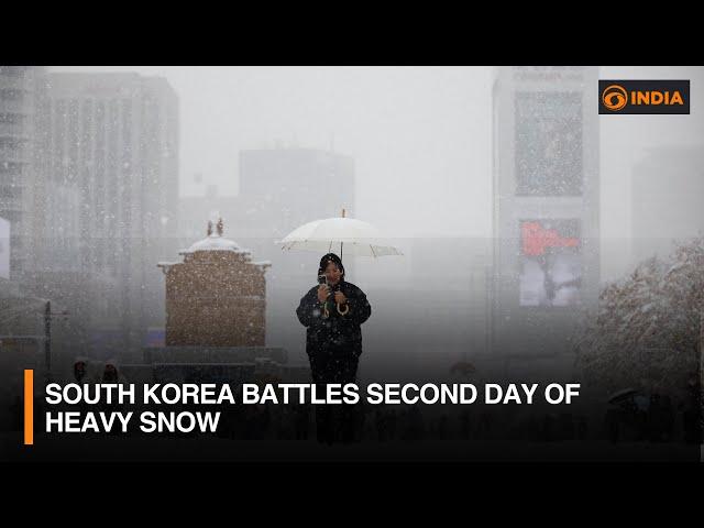 South Korea battles second day of heavy snow and other updates | DD India Live