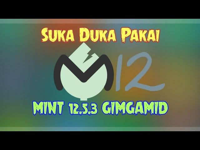 Suka Duka Pakai Custom ROM MIUI Mint V12.5.3 GIMGAMID