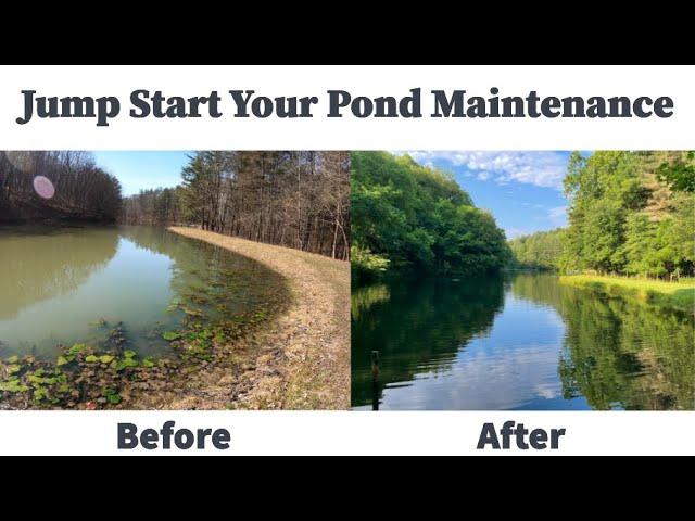 #204 Four Critical Early Spring Pond Maintenance Tips