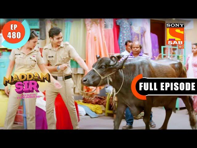 Haseena Hands A Responsibility To Karishma- Maddam Sir - Ep 480 - Full Episode - 20 April 2022