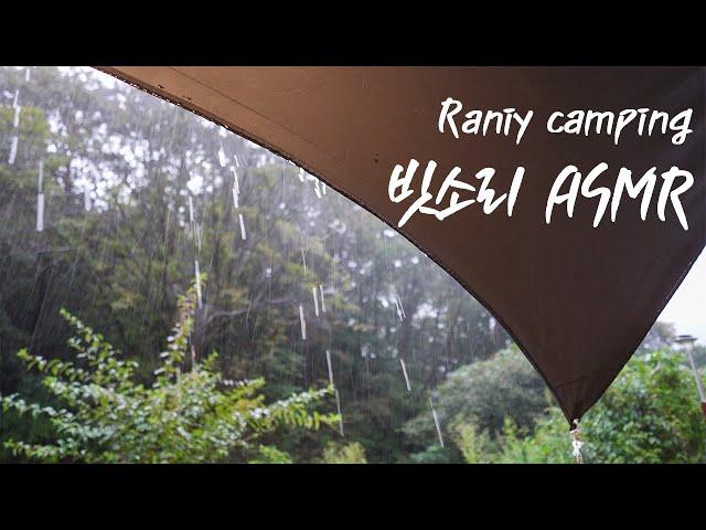 [244] Rainy Camping Collection | Listen When You Can't Sleep | ASMR