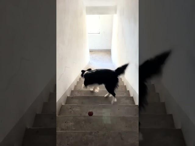 My 